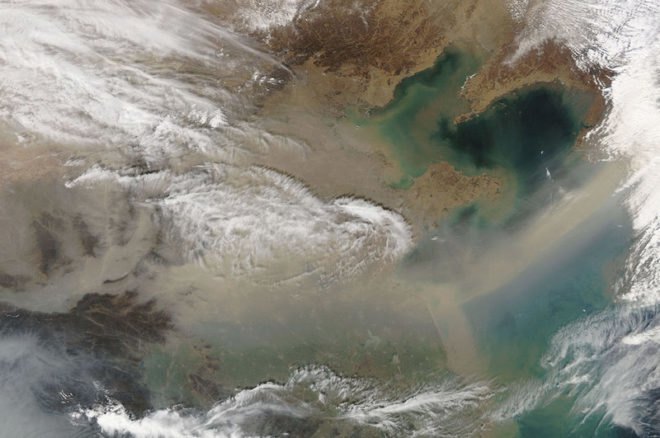 dust storms, desert trees, desert drought, mongolian drought, korea dust storm, seoul dust storm, asian climate, dust storm, desert plant