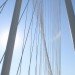 architecture, news, bridges, green news, green architecture, green bridges, green design, eco design sustainable design, eco bridges, sustainable bridges, santiago calatrava, margaret hunt hill bridge, dallas, dallas bridge, dallas news, dallas architecture,