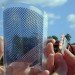 Kyosemi Sphelar Spherical Solar Cell, Sphelar Spherical Solar Cell, Kyosemi solar cell, Kyosemi solar cell spherical, kyosemi, Spherical Solar Cell, Sphelar solar energy, Sphelar solar cell, Sphelar kyosemi