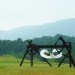 Storm King Art Center, bees, apiary, sculpture park, Hudson Valley, Peter Coffin, Untitled (Bees making Honey), Beekeeoing, Roni Horn, Anish Kapoor