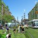 green design, eco design, sustainable design, Terreform, New York City Steady State, urban farming, New York Economically Self Sufficient, food growing cells, meat production towers