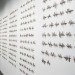 Cui Fei, thorn art, chinese art, natural art, natural materials, nature art, artwork from nature, manuscript artwork, green art