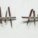 Cui Fei, thorn art, chinese art, natural art, natural materials, nature art, artwork from nature, manuscript artwork, green art