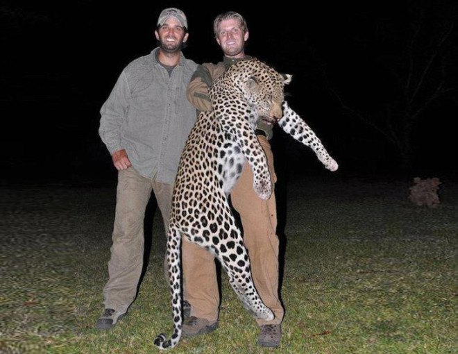 Trump, Donald Trump, Donald Trump Jr., Eric Trump, Ivanka Trump, PETA, conservation, animal rights, Zimbabwe, hunting, elephants, buffalo,