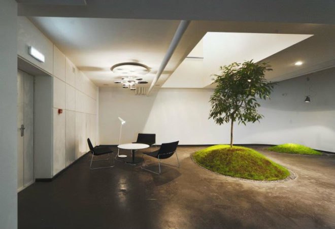 architecture, green architecture, eco architecture, sustainable architecture, green design, eco design, sustainable design, TSEH architects, ukraine, ukraine architects, green offices, eco offices, sustainable offices, office garden, office garden wall, eco office, sustainable office