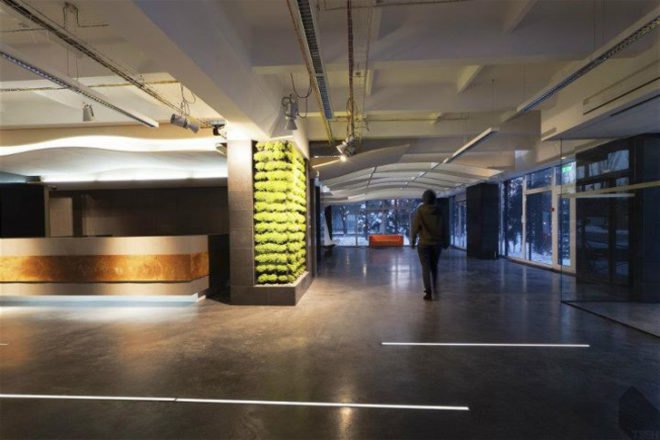 architecture, green architecture, eco architecture, sustainable architecture, green design, eco design, sustainable design, TSEH architects, ukraine, ukraine architects, green offices, eco offices, sustainable offices, office garden, office garden wall, eco office, sustainable office