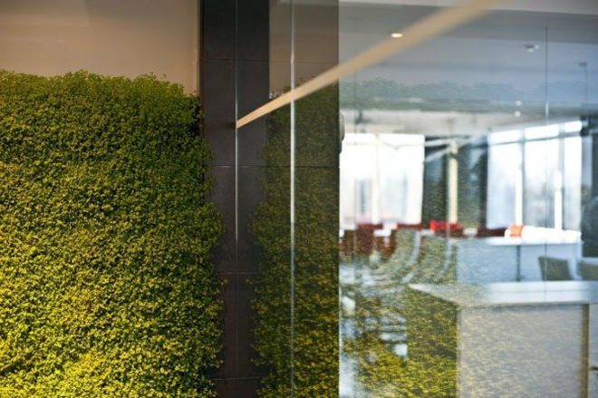 architecture, green architecture, eco architecture, sustainable architecture, green design, eco design, sustainable design, TSEH architects, ukraine, ukraine architects, green offices, eco offices, sustainable offices, office garden, office garden wall, eco office, sustainable office