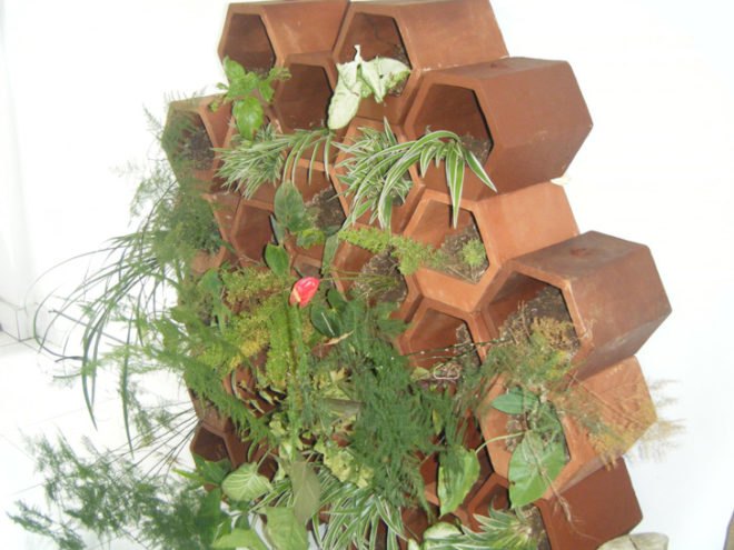 Bali Eco Green Wall, bali eco center, bali ecological center, green wall, planter walls, modular planters, bali