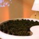 Biophotovoltaics, BPV, Moss, Table, Green design, Green furniture, bio energy harvesting