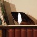 Marco Stefanelli, The boxer design, Brecce collection, Log lamp, eco design, sustainable design