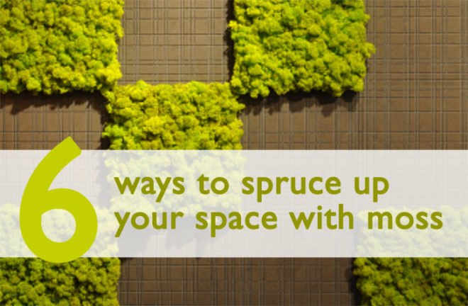 Anna Garforth, Edina Tokodi, Mosstika, Makoto Azuma, DIY, moss, green graffiti, moss graffiti, MOSS tiles, reverse graffiti, strook, green design, art, sustainable design, eco-design