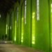 Dilston Grove, south east london, grass interiors, Ackroyd & Harvey, art, sustainable materials, botanical