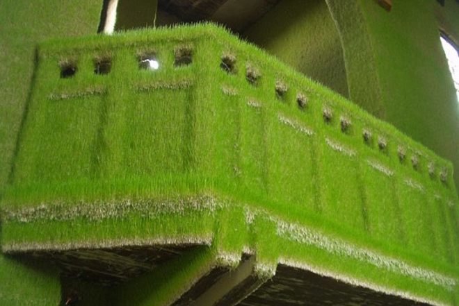 Dilston Grove, south east london, grass interiors, Ackroyd & Harvey, art, sustainable materials, botanical