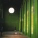 Dilston Grove, south east london, grass interiors, Ackroyd & Harvey, art, sustainable materials, botanical
