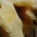 green design, eco design, sustainable design, Aganetha Dyck, Canadian Artists, WInnipeg, Bees, apiary, beekeeping, bee artist, bee sculpture, honeycomb sculpture