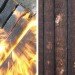 BYTR, Dutch design, Japanese traditions, the Netherlands, burnt wood, Shou Sugi Ban, sustainable architecture