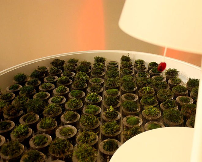 Biophotovoltaics, BPV, Moss, Table, Green design, Green furniture, bio energy harvesting