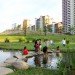 Bishan Park, singapore, kallang river, urban design, sustainable design, landscape architecture, green design, reclaimed public park, active beautiful clean waters program, water