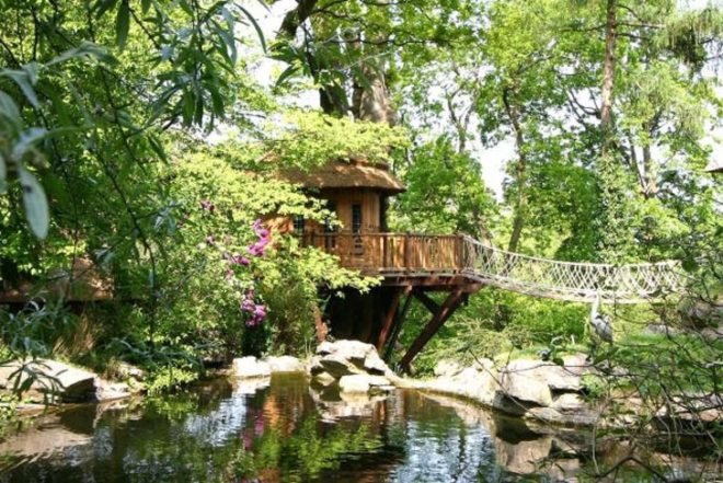 Blue Forest, Thatched roof, Cliffside Lodge, wrapped around a tree, western red cedar, rope bridge, hanging bridge, tree house, Green Materials, architecture, Treehouses