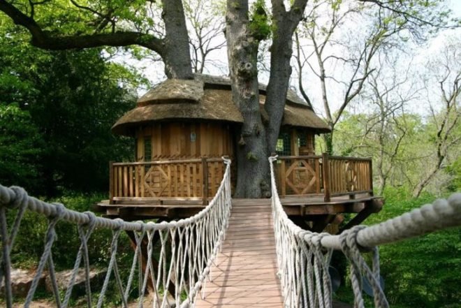 Blue Forest, Thatched roof, Cliffside Lodge, wrapped around a tree, western red cedar, rope bridge, hanging bridge, tree house, Green Materials, architecture, Treehouses