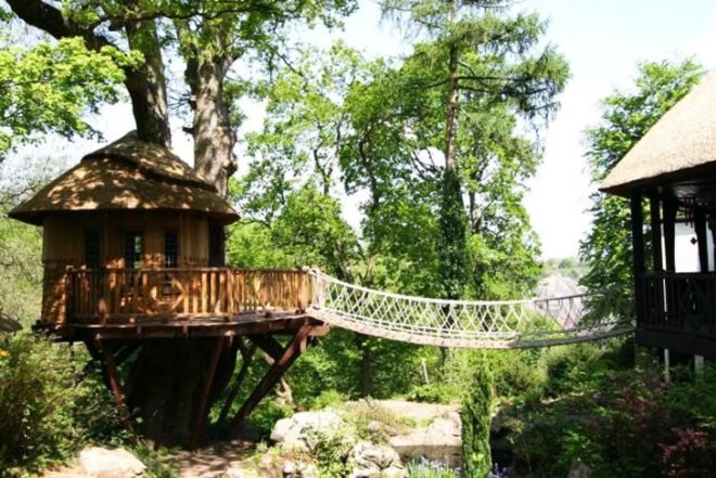 Blue Forest, Thatched roof, Cliffside Lodge, wrapped around a tree, western red cedar, rope bridge, hanging bridge, tree house, Green Materials, architecture, Treehouses