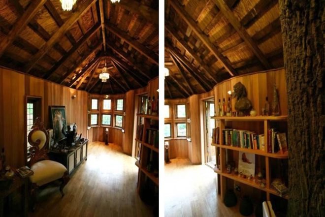 Blue Forest, Thatched roof, Cliffside Lodge, wrapped around a tree, western red cedar, rope bridge, hanging bridge, tree house, Green Materials, architecture, Treehouses