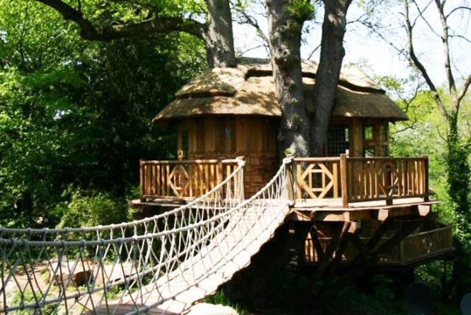 Blue Forest, Thatched roof, Cliffside Lodge, wrapped around a tree, western red cedar, rope bridge, hanging bridge, tree house, Green Materials, architecture, Treehouses