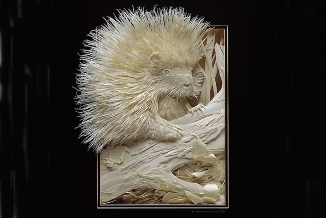 art, compostable / recycling, biodegradable materials, Calvin Nicholls, hummingbird, archival paper, fox, woodland, Canada, Ontario, paper art, paper knife, delicate art, paper sculptures, Recycling / Compost, animals