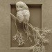 art, compostable / recycling, biodegradable materials, Calvin Nicholls, hummingbird, archival paper, fox, woodland, Canada, Ontario, paper art, paper knife, delicate art, paper sculptures, Recycling / Compost, animals