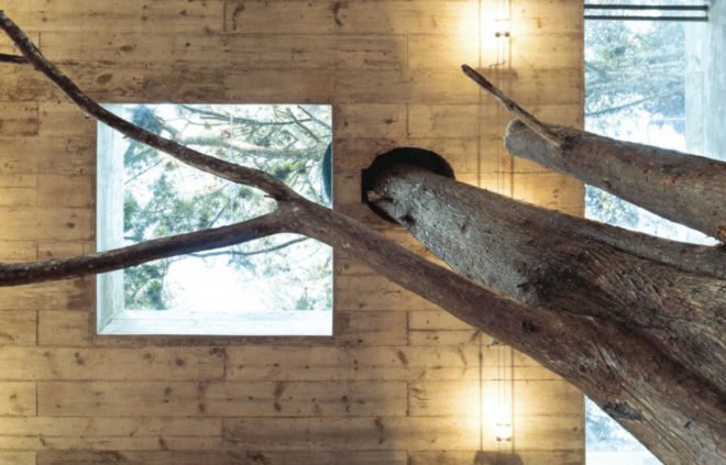 Corallo House, Guatemala City, Casa Corallo, Studio Architecture, Paz Arquitectura, Guatemala