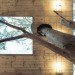 Corallo House, Guatemala City, Casa Corallo, Studio Architecture, Paz Arquitectura, Guatemala