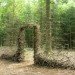 Cornelia Konrads, Land Art, Forest Art, Woodland lanscape, deforestation, German Forest