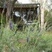 Ray Eames Birthday, Eames House, Case Study House No. 8, Sustainable Architecture, Green Design, Prefab, Prefabricated Home, Mid-Century Modern, Charles and Ray Eames, Recycled Materials, Eco-Friendly
