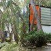 Ray Eames Birthday, Eames House, Case Study House No. 8, Sustainable Architecture, Green Design, Prefab, Prefabricated Home, Mid-Century Modern, Charles and Ray Eames, Recycled Materials, Eco-Friendly