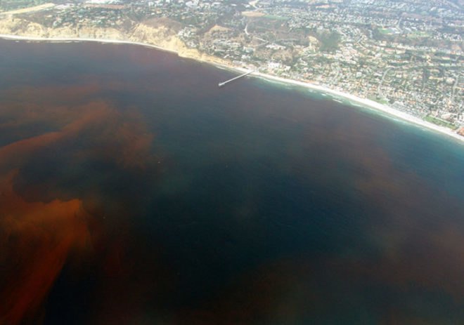 Earth day, Climate change, Extreme weather, Deforestation, FSC Certified Wood, Pollution, Great Pacific Garbage Patch, recycling, Biodiversity, oceanic dead zones, bee population, rising sea levels, overpopulation, environmental destruction