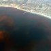 Earth day, Climate change, Extreme weather, Deforestation, FSC Certified Wood, Pollution, Great Pacific Garbage Patch, recycling, Biodiversity, oceanic dead zones, bee population, rising sea levels, overpopulation, environmental destruction