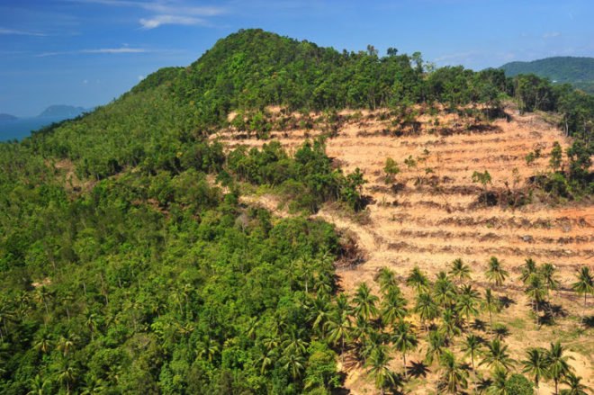 Earth day, Climate change, Extreme weather, Deforestation, FSC Certified Wood, Pollution, Great Pacific Garbage Patch, recycling, Biodiversity, oceanic dead zones, bee population, rising sea levels, overpopulation, environmental destruction