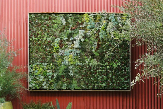 Easy Gardening Projects, Fire Escape Garden, indoor gardens, easy gardens, garden projects, easy gardening projects, flora grubb, vertical garden panel