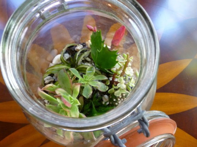 Easy Gardening Projects, Fire Escape Garden, indoor gardens, easy gardens, garden projects, easy gardening projects, terrarium