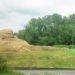 Florentijn Hofman, musk rat, big sculpture, thatch, dutch design, Nieuwerkerk, The Netherlands, dutch countryside, biodegradable materials, local materials, local craftsmen, animals, art, recycled / compost
