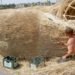 Florentijn Hofman, musk rat, big sculpture, thatch, dutch design, Nieuwerkerk, The Netherlands, dutch countryside, biodegradable materials, local materials, local craftsmen, animals, art, recycled / compost