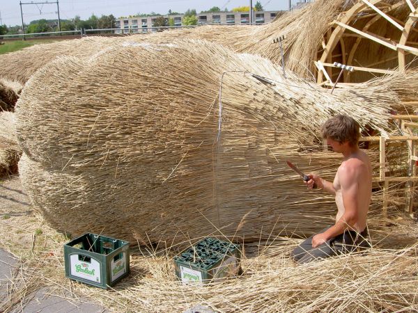Florentijn Hofman, musk rat, big sculpture, thatch, dutch design, Nieuwerkerk, The Netherlands, dutch countryside, biodegradable materials, local materials, local craftsmen, animals, art, recycled / compost