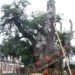 Architecture, Botanical, Treehouses, oak chapel, france, Chêne Chapelle, Allouville-Bellefosse, carved tree