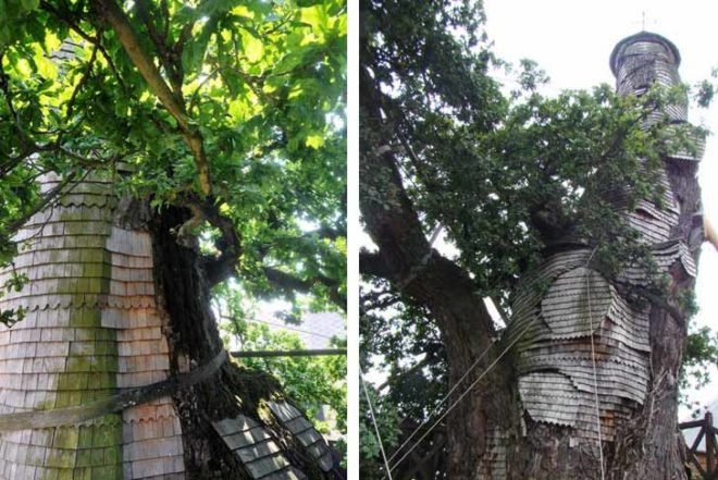 Architecture, Botanical, Treehouses, oak chapel, france, Chêne Chapelle, Allouville-Bellefosse, carved tree