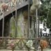 Architecture, Botanical, Treehouses, oak chapel, france, Chêne Chapelle, Allouville-Bellefosse, carved tree