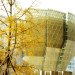 SAREA Alain Safarti Architecture, French Embassy, Silk Screen Building, Beijing Architecture, Noelle Hoeppe