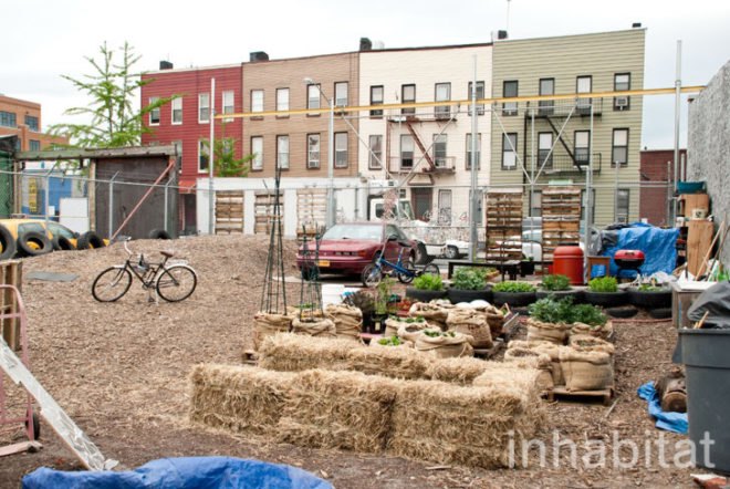 Hayseed's Big City Farm Supply; farm supply; urban farming; rooftop gardens; urban gardening; green design; eco design; repurposed materials; repurposed crates; wood crates; old crates; composting; backyard gardening; Inhabitat; New York; New York City; Inhabitat NY; Greenpoint; Brooklyn; outdoor gardening; Amanda Coen