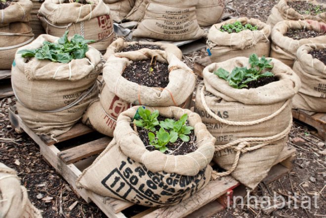 Hayseed's Big City Farm Supply; farm supply; urban farming; rooftop gardens; urban gardening; green design; eco design; repurposed materials; repurposed crates; wood crates; old crates; composting; backyard gardening; Inhabitat; New York; New York City; Inhabitat NY; Greenpoint; Brooklyn; outdoor gardening; Amanda Coen