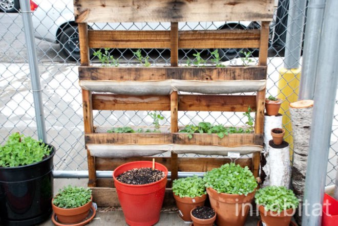 Hayseed's Big City Farm Supply; farm supply; urban farming; rooftop gardens; urban gardening; green design; eco design; repurposed materials; repurposed crates; wood crates; old crates; composting; backyard gardening; Inhabitat; New York; New York City; Inhabitat NY; Greenpoint; Brooklyn; outdoor gardening; Amanda Coen