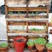 Hayseed's Big City Farm Supply; farm supply; urban farming; rooftop gardens; urban gardening; green design; eco design; repurposed materials; repurposed crates; wood crates; old crates; composting; backyard gardening; Inhabitat; New York; New York City; Inhabitat NY; Greenpoint; Brooklyn; outdoor gardening; Amanda Coen